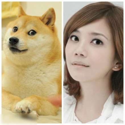 黄渤与孙红雷与动物撞脸瞬间,盘点明星撞脸黄渤