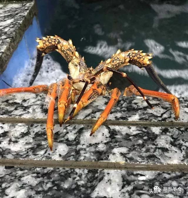 这些诱人的美食你吃过吗,世界上顶级海鲜大全你吃过几种