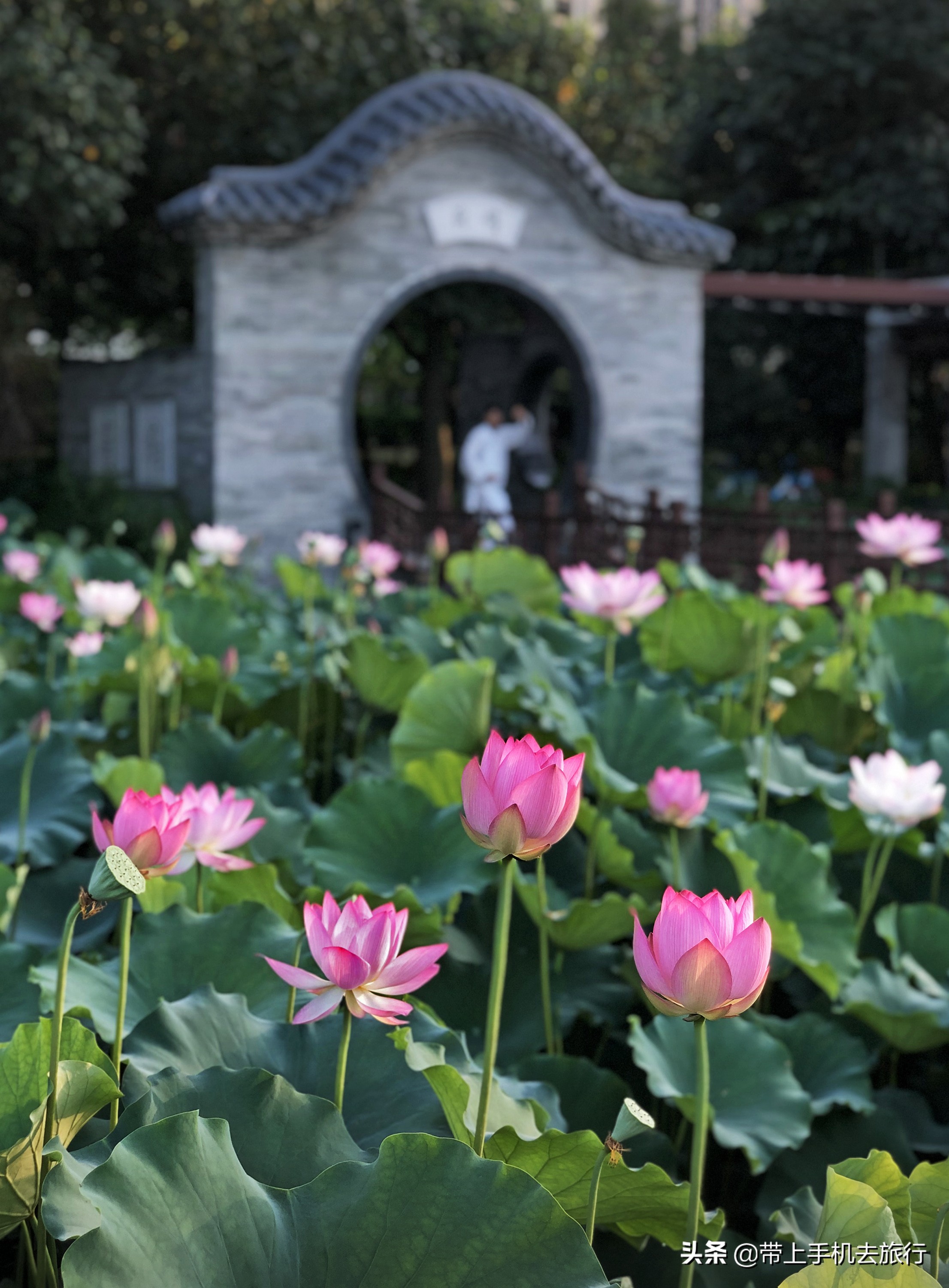 选择大于努力图片动画,选择大于努力坚持创造奇迹的图片