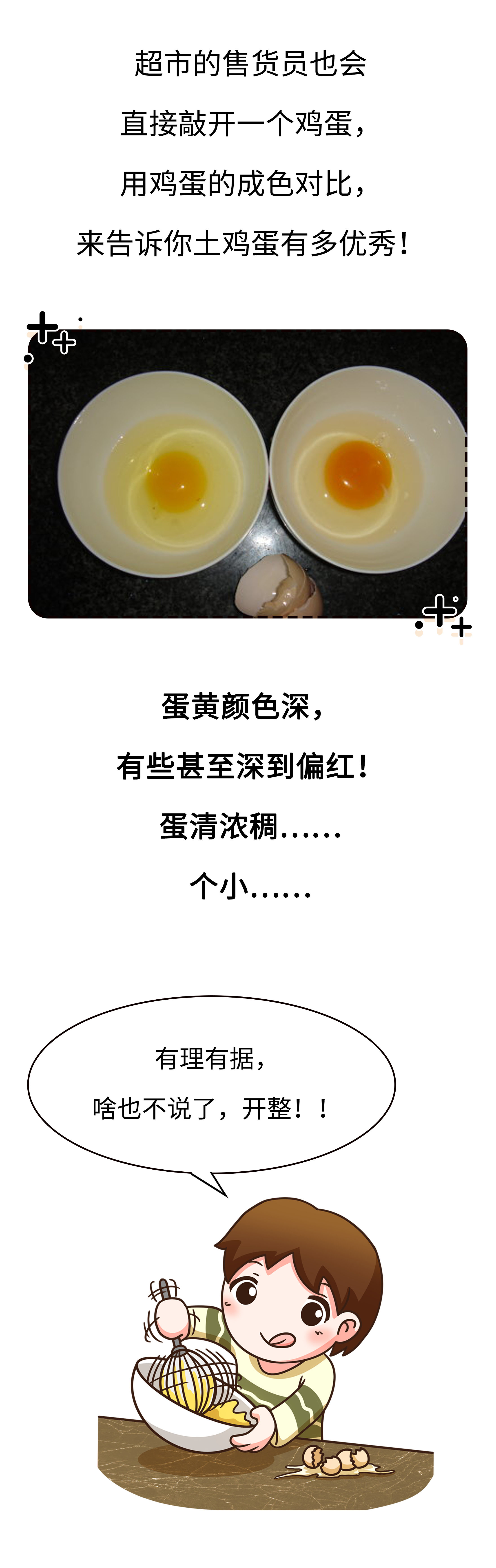 高价格，假广告，毒饲料，如何避免吃到不靠谱的鸡蛋（菲李漫画）