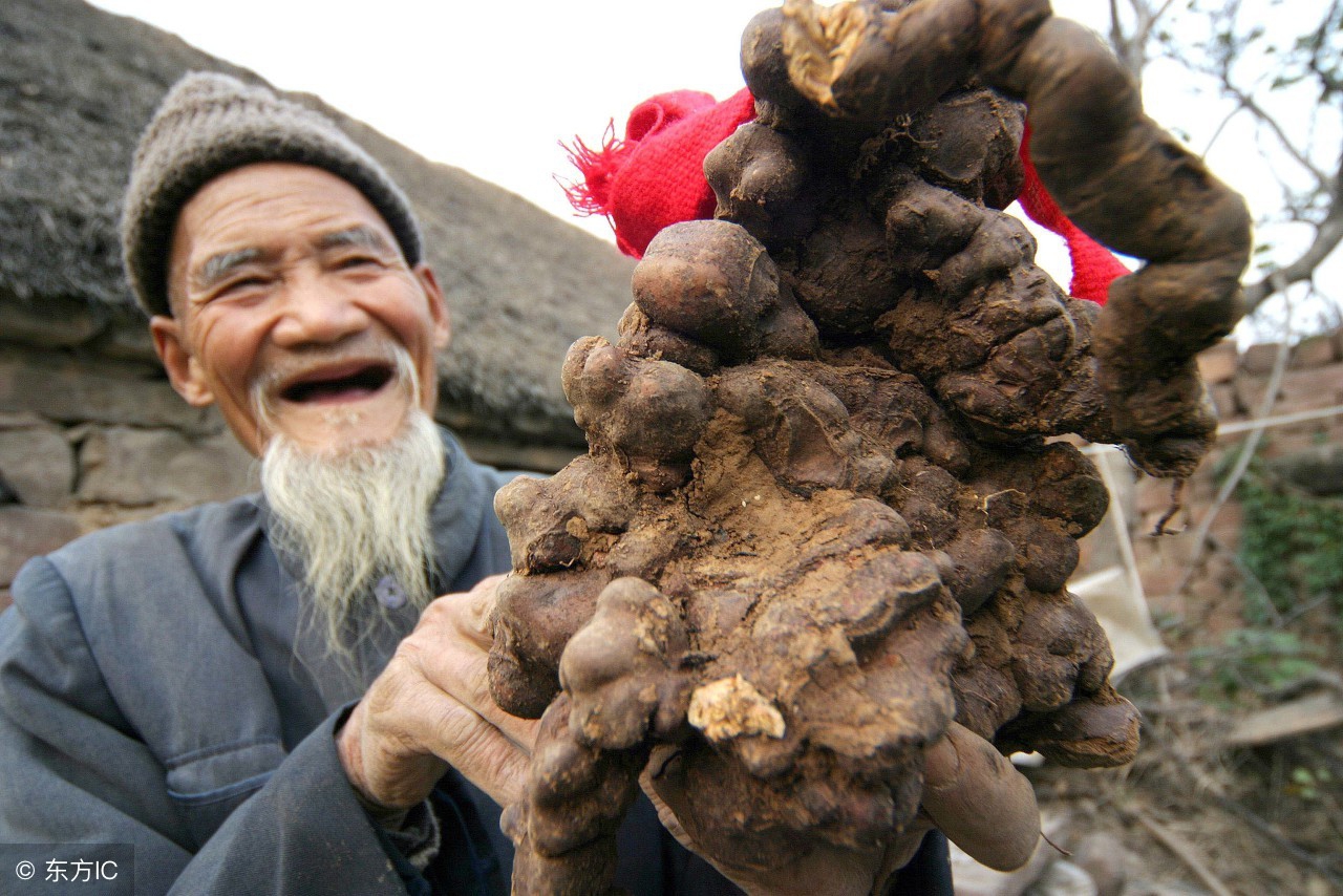 哪种补血补气的中药材比较快,补气又补血温和不上火的中药材