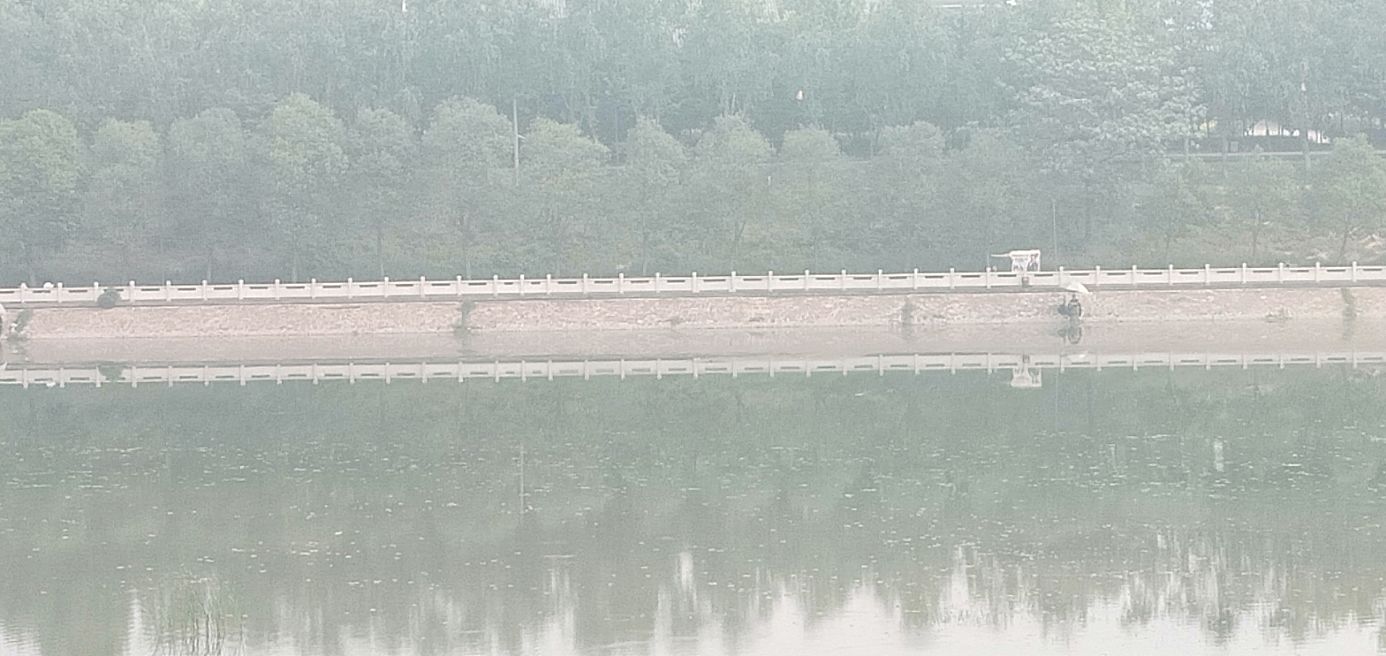 似曾相识的短篇小说,万念俱灰全文阅读