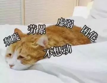 满月发汗是不是应该问中医,满月发汗必须做气血调理吗