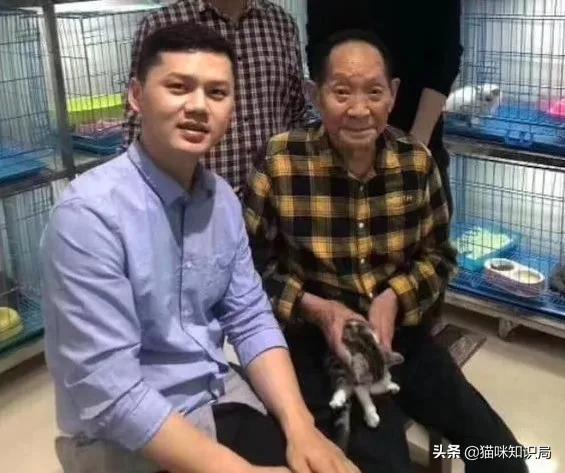 南宋哪位诗人爱养猫曾为猫写诗,南宋哪位诗人养猫还为猫写诗