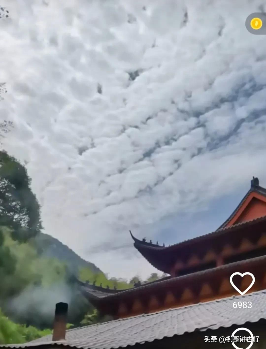 许妈对田静的评价,许妈和田静有关视频