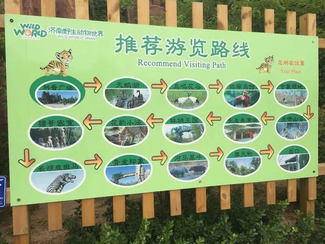 济南动物王国一日游详细攻略,济南一日游动物园