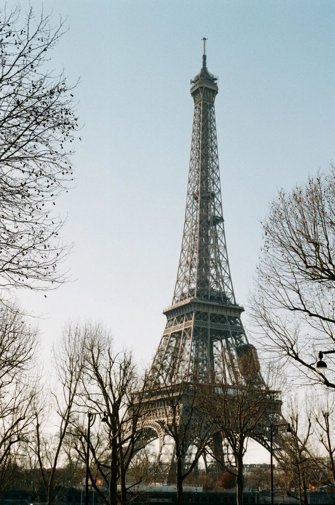 旅行thetravel1973,旅行traveltrip