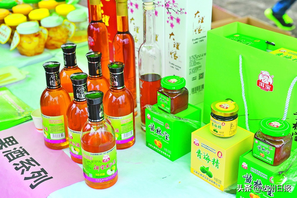 森浩集团与云南大理洱宝实业、省农科院、华西中医药研究所强强联手签约合作助推达川乌梅产业精深融合发展