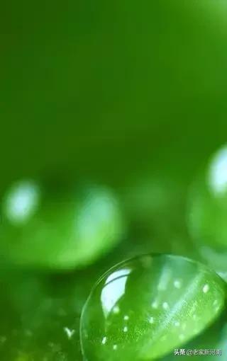 南怀瑾说不尊重你的朋友,南怀瑾无论遇到什么你应保持平静