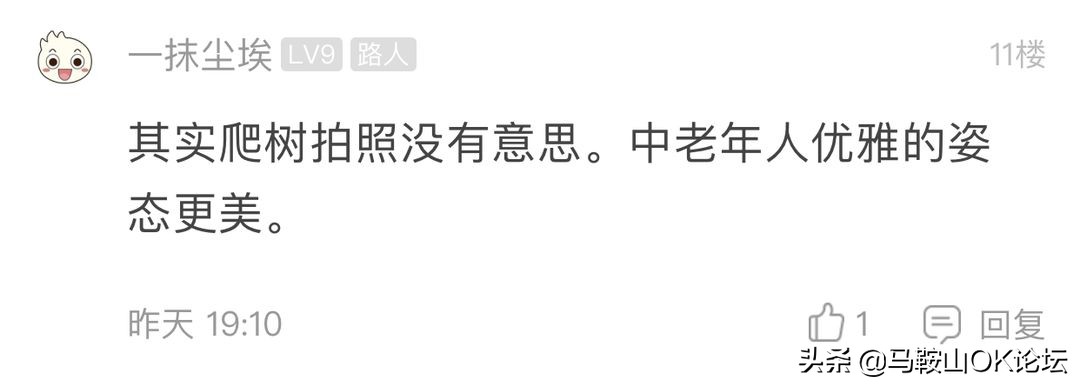 马鞍山滨江公园樱花开了吗,马鞍山雨山樱花