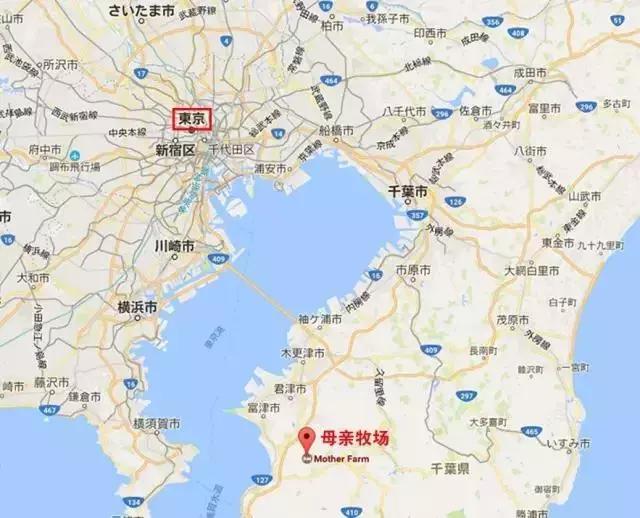 日本农场营收10亿经营秘诀,日本妈妈牧场怎么运营