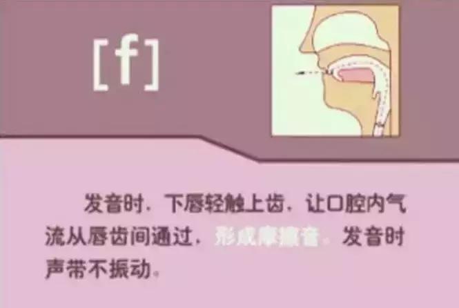 音标发音48个正确发音口型,小学英语音标发音48个口型