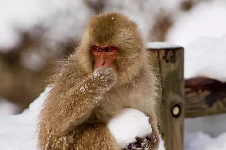 太原冬天去哪儿玩,天津冬天去哪儿玩