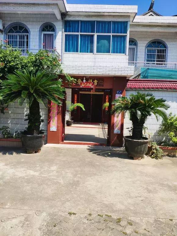 家里养的铁树一般是什么品种,家里不能养铁树铁树该怎么处理