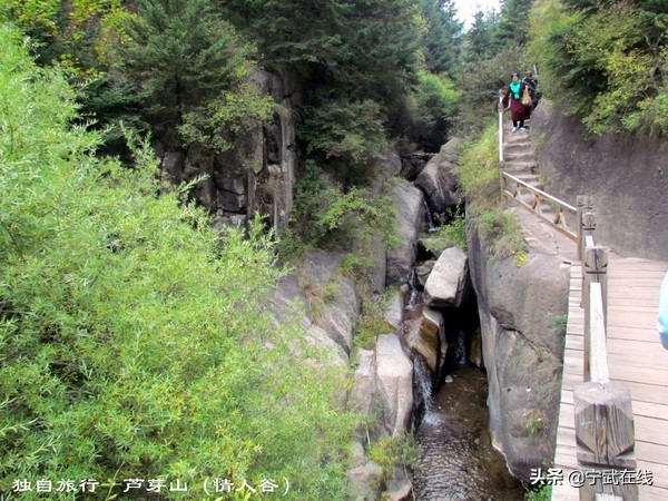 宁武芦芽山悬崖栈道,太原出发芦芽山马仑草原自驾路线