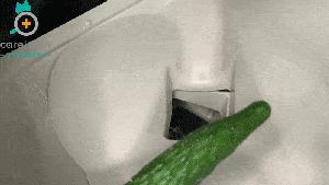 有陪智能猫砂盆真实测评,半封闭全自动猫砂盆测评