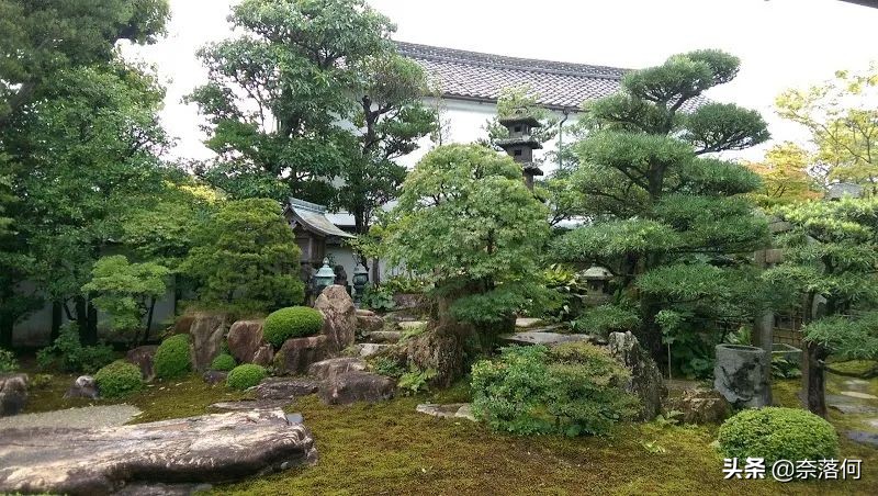 想去二次元,想去二次元的世界