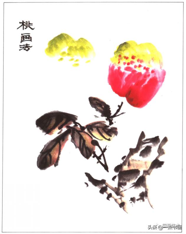 写意蔬果怎么画火龙果,100种写意蔬果画法