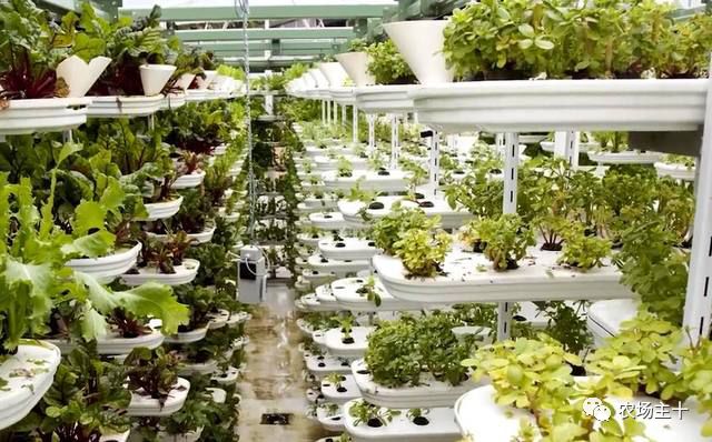 特色集装箱农场,集装箱打造农场建筑