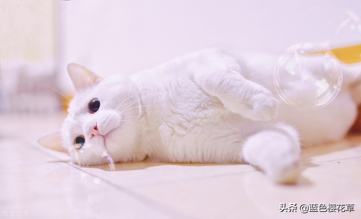 excel中利用公式计算平均购买金额,excel的万元公式