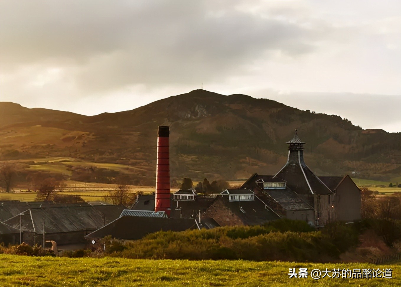 隐藏的宝藏深度解读,隐藏的稀有宝藏