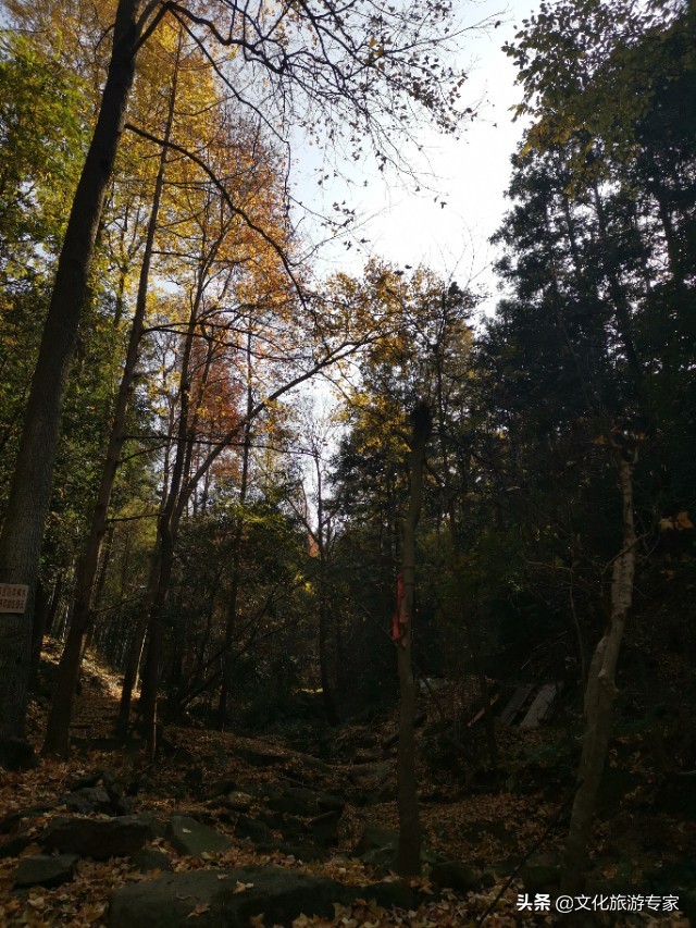 广水市三潭风景区的班车,广水市三潭风景区天气