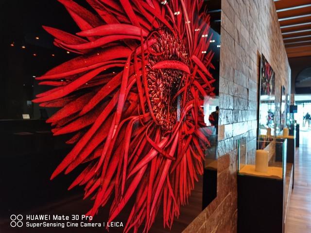 华为mate30pro拍照测评对比,华为mate30pro拍照专业测评