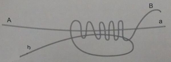 海钓pe各种线结打法,pe线海钓线结绑法