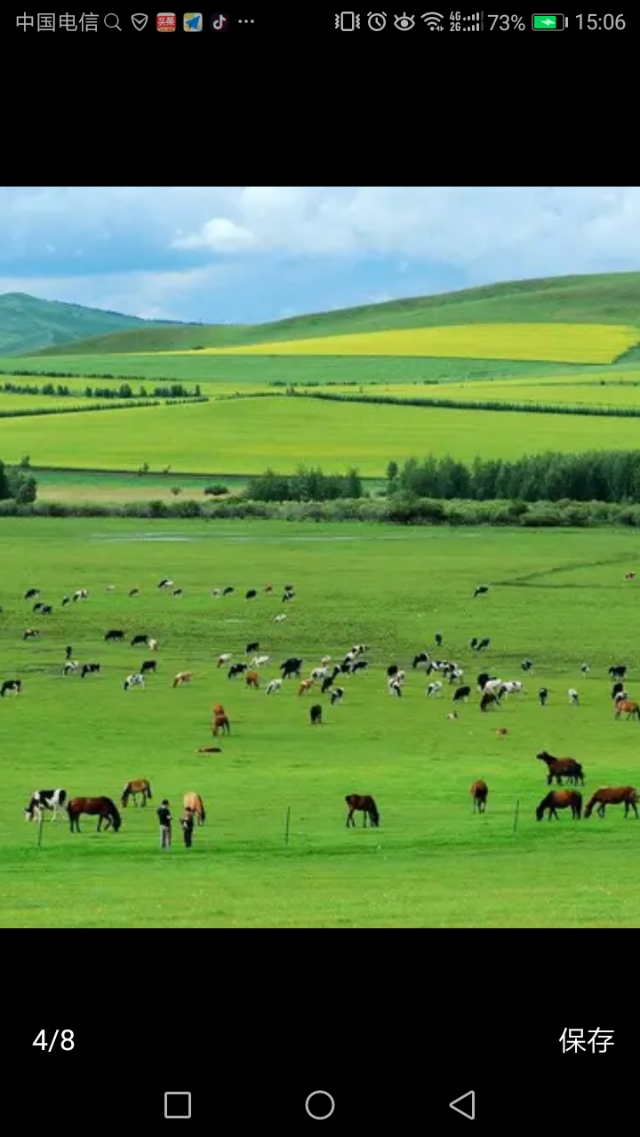 宁夏石嘴山市一座让诗“忘却的城市”？