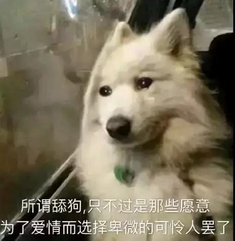 最暖心的套路撩人情话,2020最暖套路撩人情话