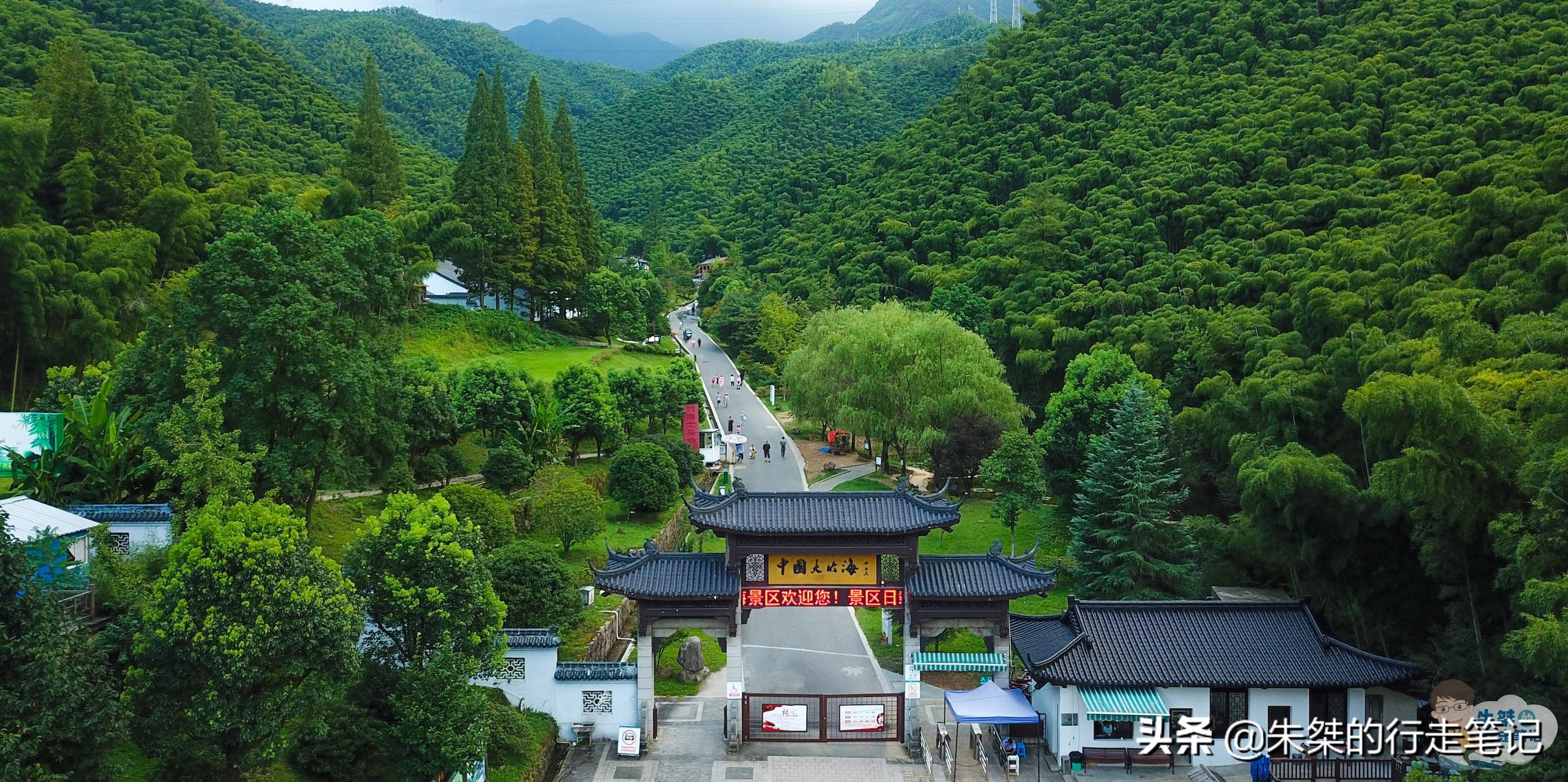 全国有名竹海,华东第一竹海的宜兴
