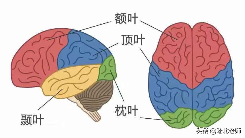 离家出走孩子心理干预方案,解决孩子离家出走最好的办法