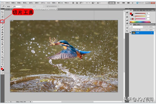 Photoshop切片:教你如何创建切片,很简单