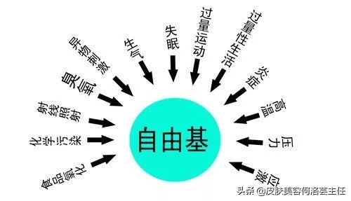 为什么有的人特别的抗氧化,抗氧化到底应该用什么