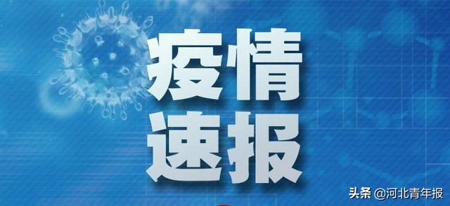 河北疫情确诊病例实时动态,河北最新疫情通报新增病例