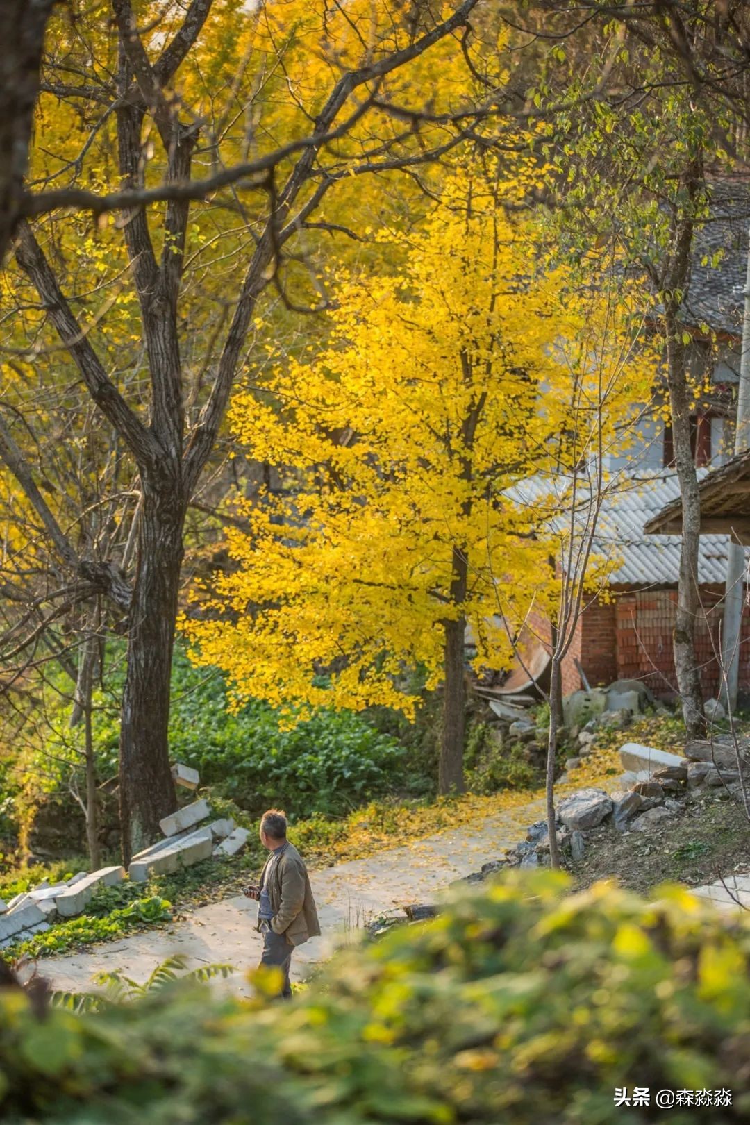 秦岭赏秋怎么玩才好玩呢,大秦岭山旅游攻略