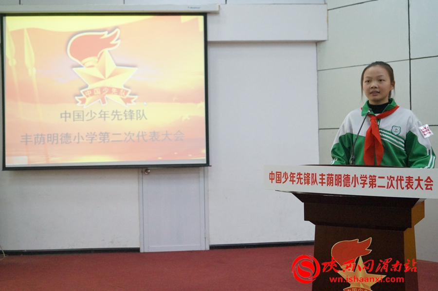 少年先锋队学校代表大会,小学少年先锋队代表大会