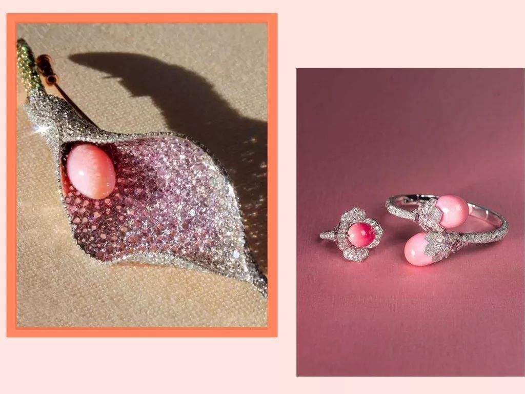 孔克珠是不是珍珠,孔克珠珍稀品种