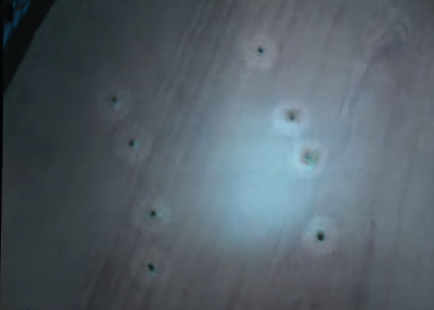 2006年韩国女生聚餐失踪,韩国女大学生失踪事件