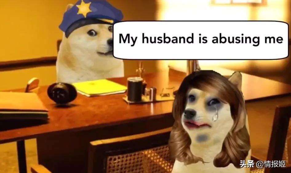 被做成表情包的柴犬doge,doge柴犬表情包万恶之源