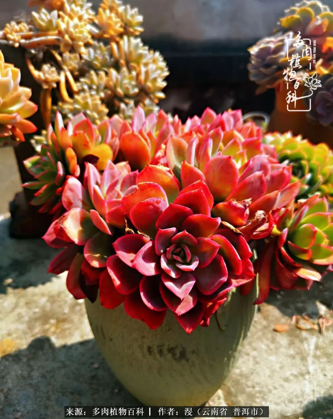 风过留痕讲的啥,风过留痕朗诵