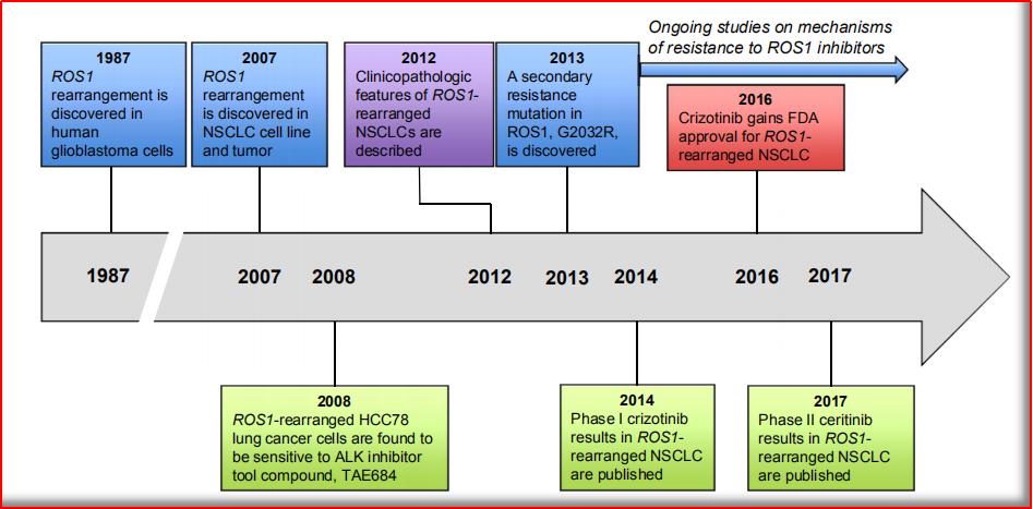 alk基因突变与ros1突变的区别,ros1最新上市靶向药