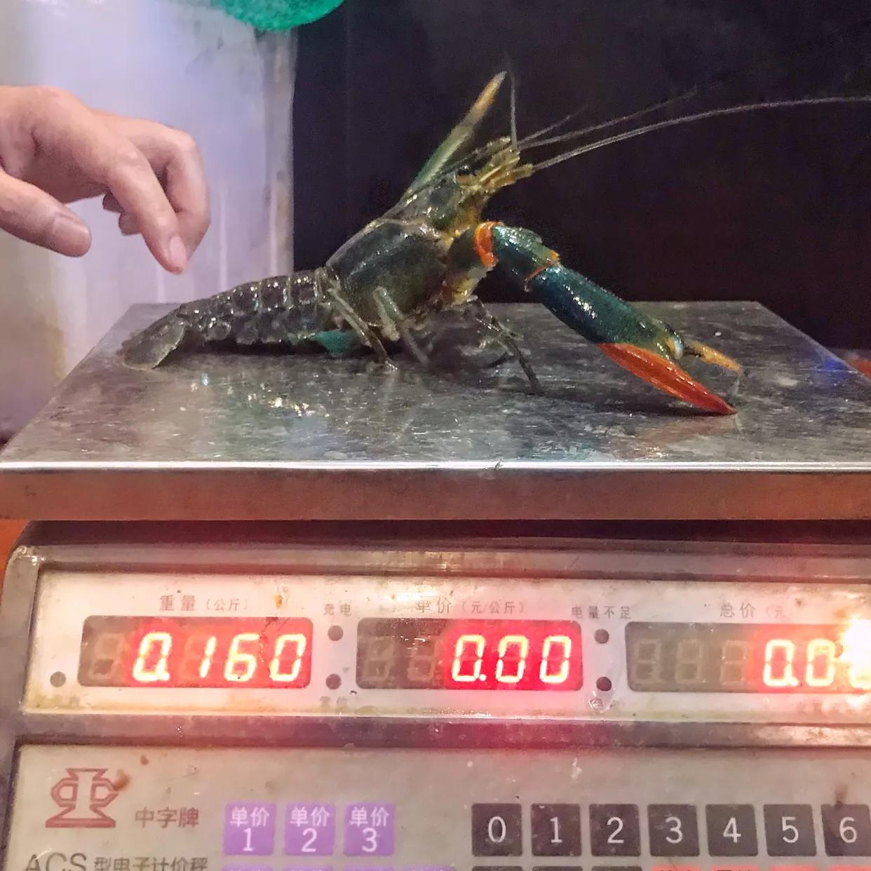 同样是虾价格怎么差这么多,同样是虾为什么价格不一样