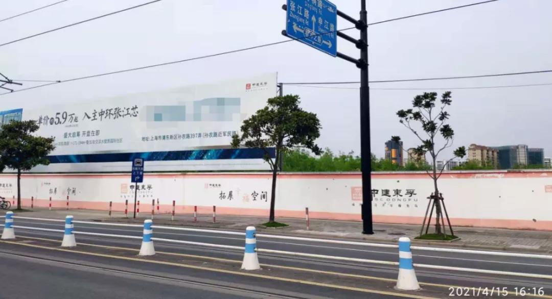 上海这个板块未来值得期待,上海的多肉品种