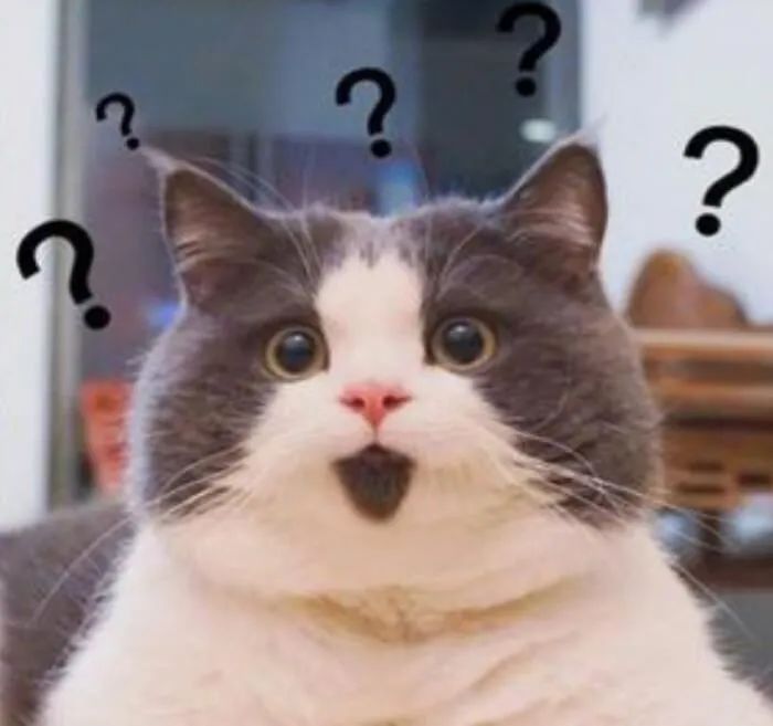 全自动洗衣机的洗衣盒如何清洗,洗衣机的洗衣盒怎么清洗