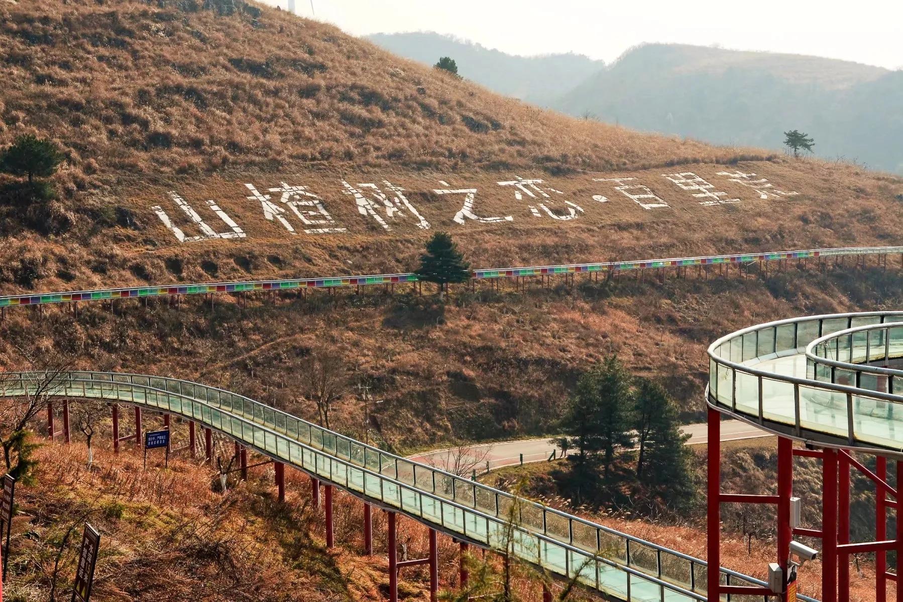 宜昌今日猪价,宜昌宜都新闻最新消息