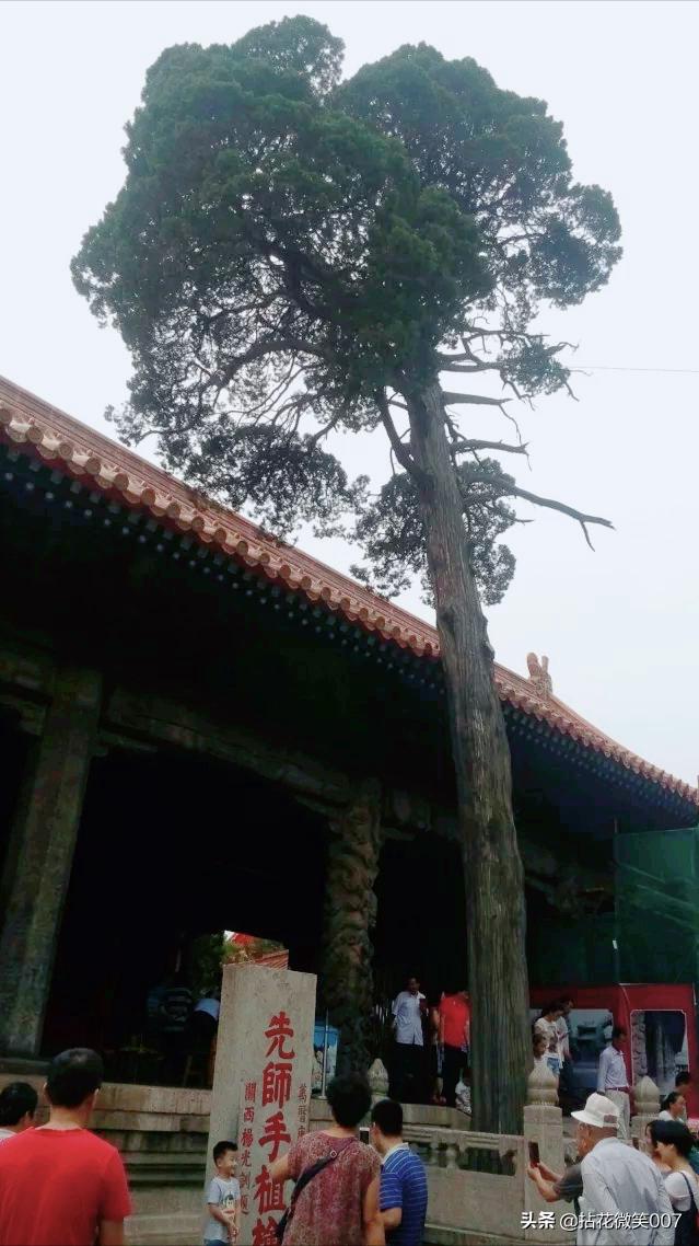 三孔孔府孔庙孔林一日游,孔府与孔庙孔林并称三孔