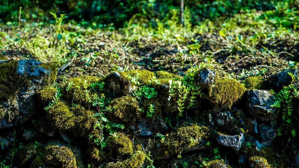 乌江百里画廊介绍,走进乌江百里画廊