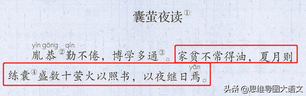 部编4下7单元习作｜《我的自画像》写作方法+范文+点评