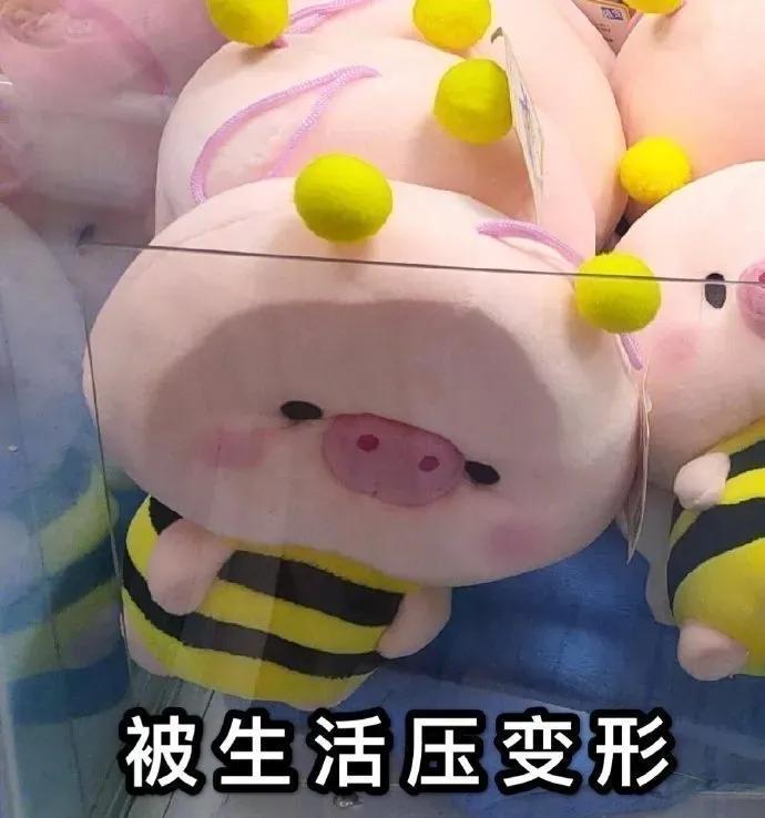 日常色很全的眼影盘,本年度最爱彩妆